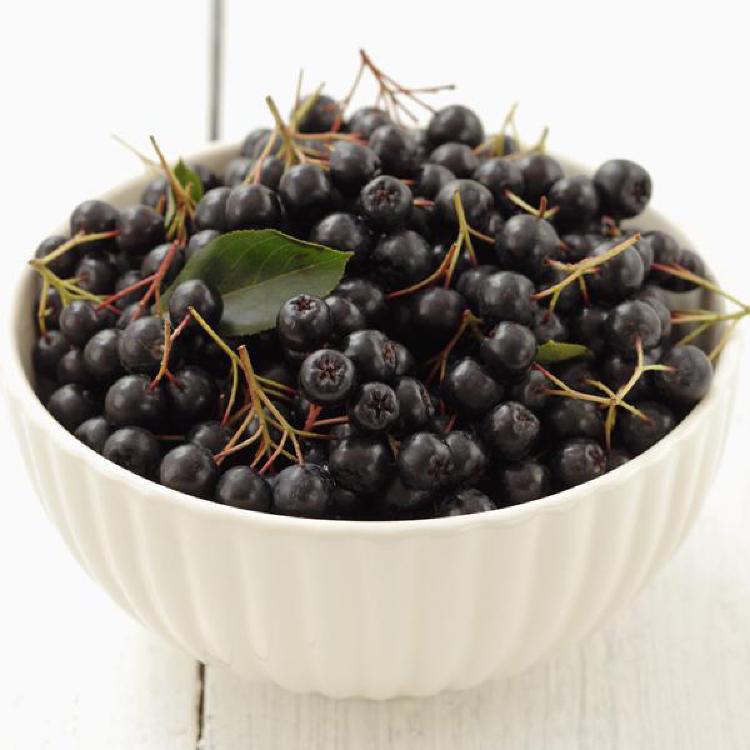 아로니아 1kg 가격, 요즘 왜 이렇게 싸졌을까? 반전 이유 공개!