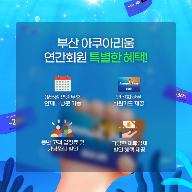 부산 아쿠아리움 연간회원권, 3번만 가면 본전? 진짜 꿀팁 대방출!