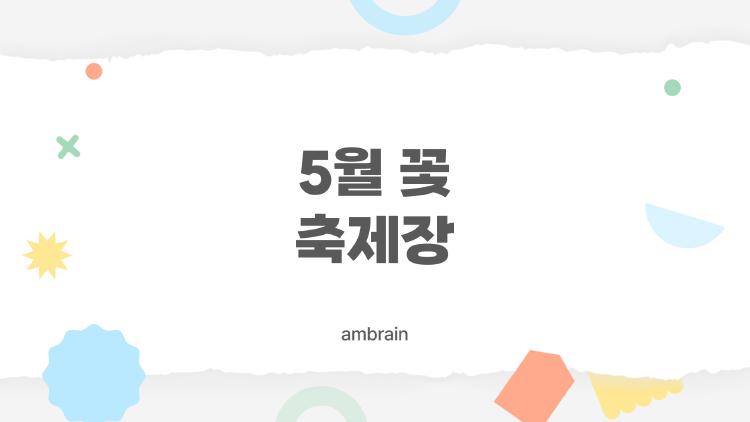 5월 꽃 축제장, 실속 파헤치기, 사람들은 어디로 갈까