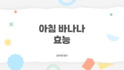 아침 바나나 효능, 아침에 바나나만 먹는 사람에게 꼭 알아야 할 진짜 효과와 함정