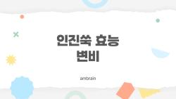 인진쑥 효능 변비, 2주 만에 배가 빵빵해진 충격 후기