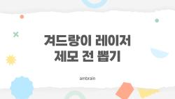 겨드랑이 레이저 제모 전 뽑기, 효과없는 이유와 지금 바꿔야 할 습관