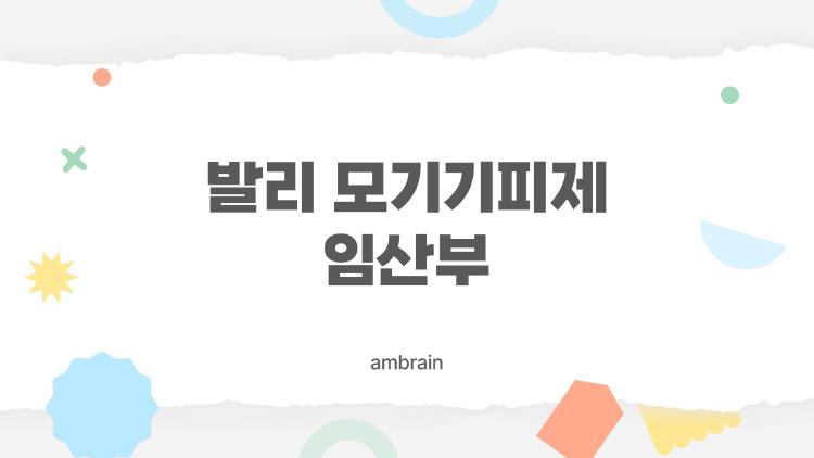 발리 모기기피제 임산부