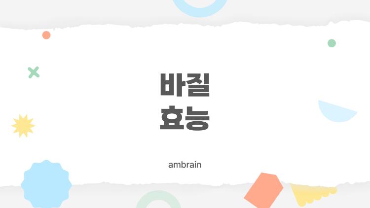 바질 효능