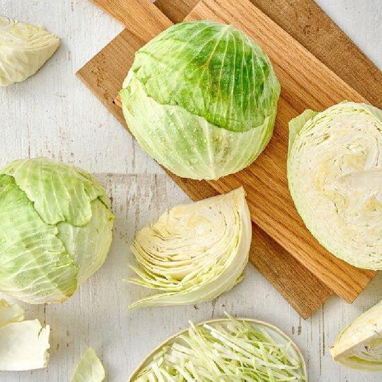 양배추 효능 간, 지방간 싹 녹이는 충격적인 진실