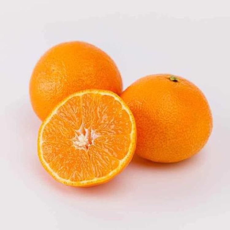 천혜향 귤 가격차이, 제주 직송 사서 50% 아낀 제 꿀팁 공개