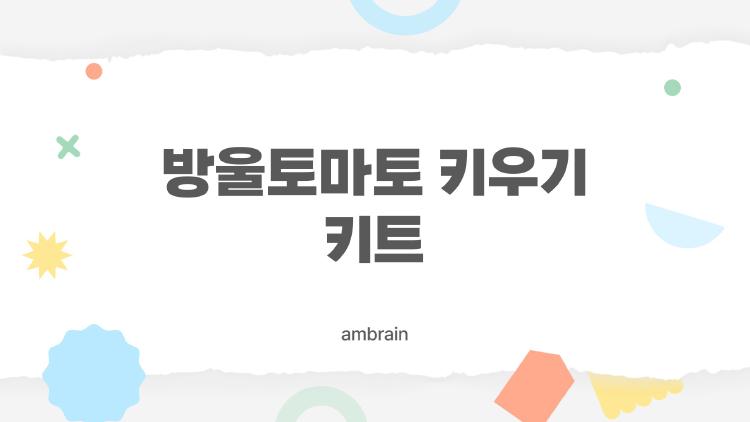 방울토마토 키우기 키트