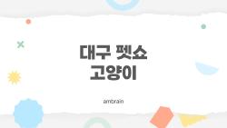 대구 펫쇼 고양이, 집사라면 꼭 알아야 할 준비와 팁