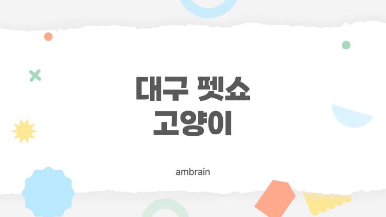대구 펫쇼 고양이