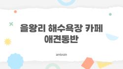 을왕리 해수욕장 카페 애견동반, 이거 몰라서 후회했습니다