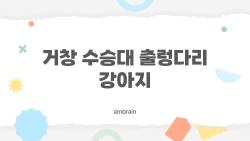 거창 수승대 출렁다리 강아지, 강아지랑 같이 건너도 괜찮을까 궁금한 점 한 번에 정리