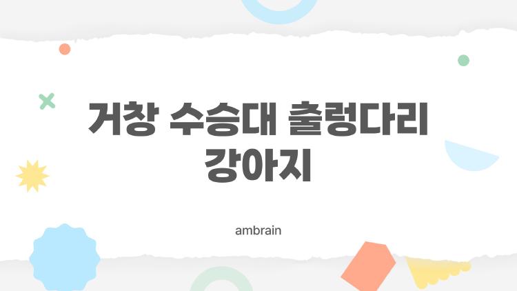 거창 수승대 출렁다리 강아지