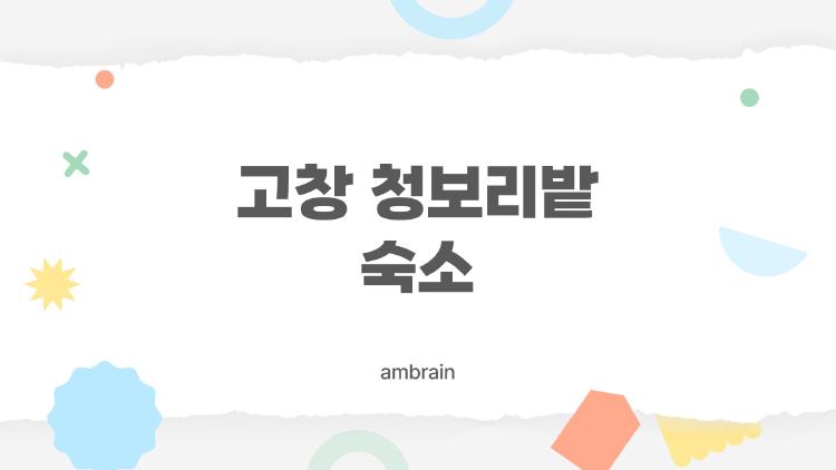 고창 청보리밭 숙소, 축제 떡밥 터진 10분 펜션 후기 폭발!