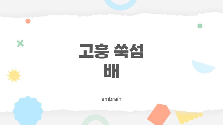 고흥 쑥섬 배
