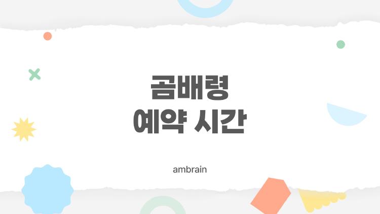 곰배령 예약 시간