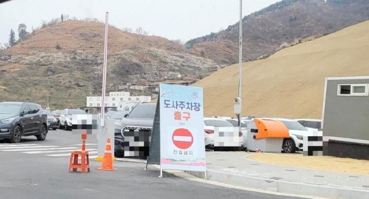 광양 매화마을 주차 도사 주차장