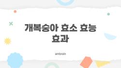개복숭아 효소 효능 효과가 이렇게 대단할 수가?