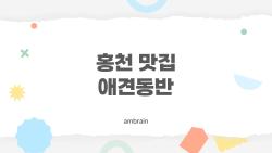 홍천 맛집 애견동반, 요즘 진짜 많이 찾는 이유는 뭘까요