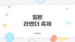 일본 라벤더 축제 7월에 가면 후회할까, 후회 못하는 이유