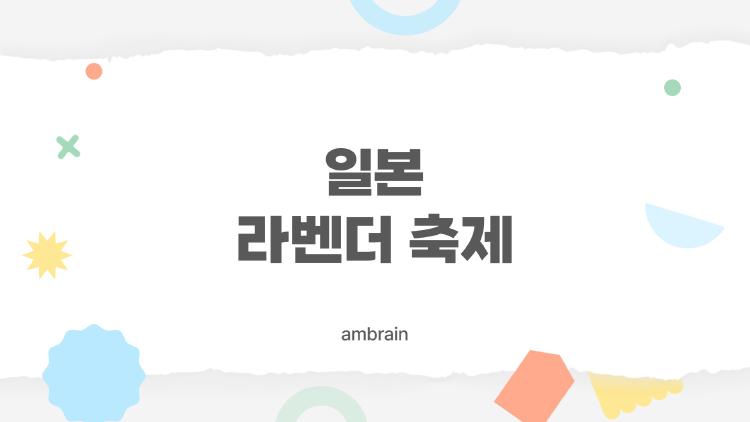일본 라벤더 축제