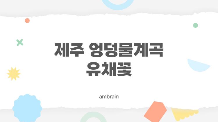 제주 엉덩물계곡 유채꽃