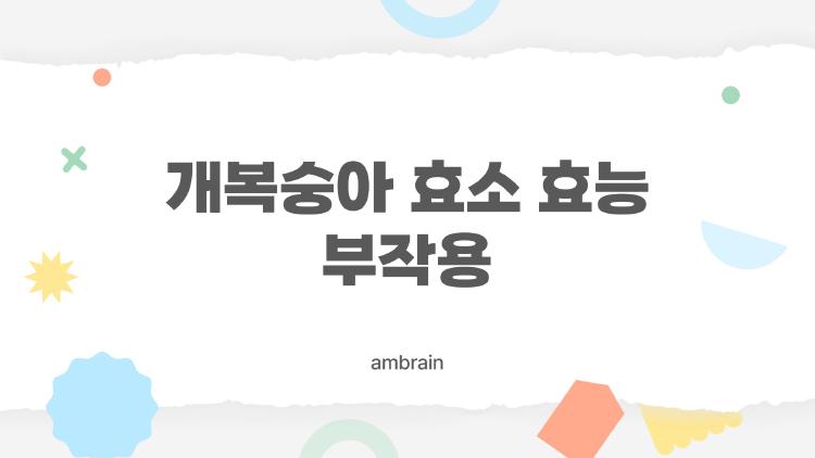 개복숭아 효소 효능 부작용