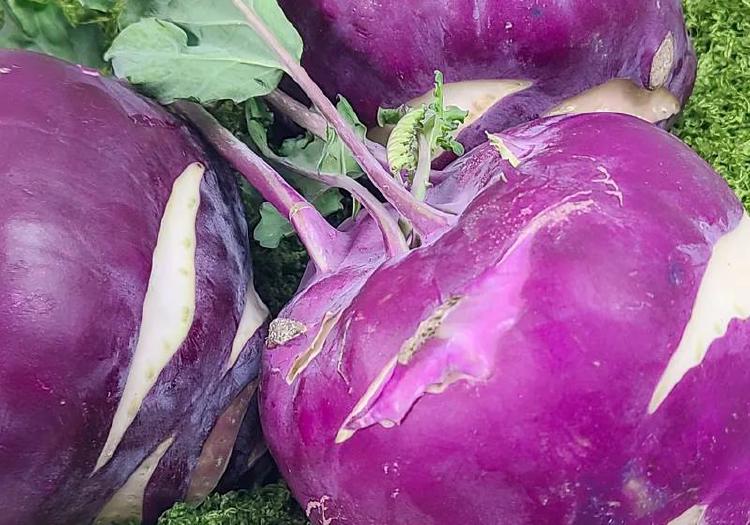 콜라비 칼로리 27kcal 충격! 살 빠지는 비밀 공개