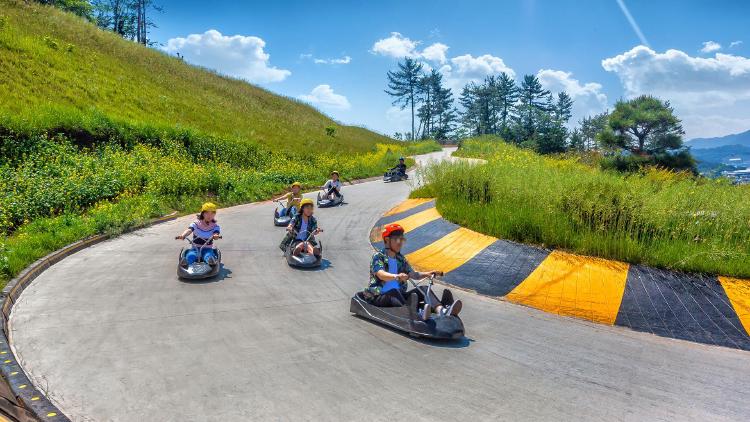 루지체험, 속도에 심장 터질 뻔! 2026 핫플 진짜 후기