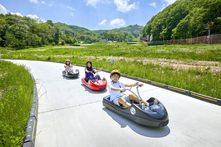 루지월드, 2026 겨울에 가면 후회할걸? 진짜 꿀팁 대공개