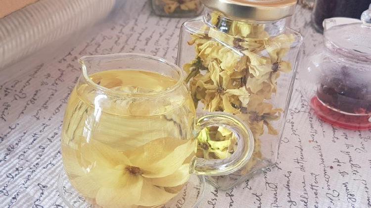 목련차 먹는법, 비염 코막힘 싹 사라지는 비밀 방법