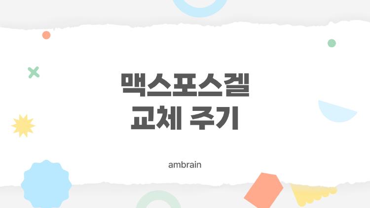 맥스포스겔 교체 주기