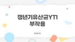 갱년기유산균YT1 부작용 솔직 고백, 내 몸에 무슨 일이