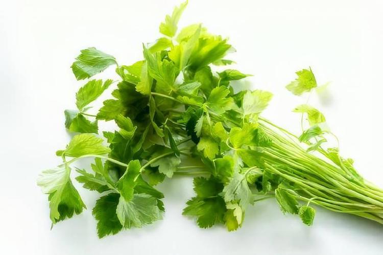 미나리 효능 먹는법, 숙취 날리는 2026 신상 레시피 대공개