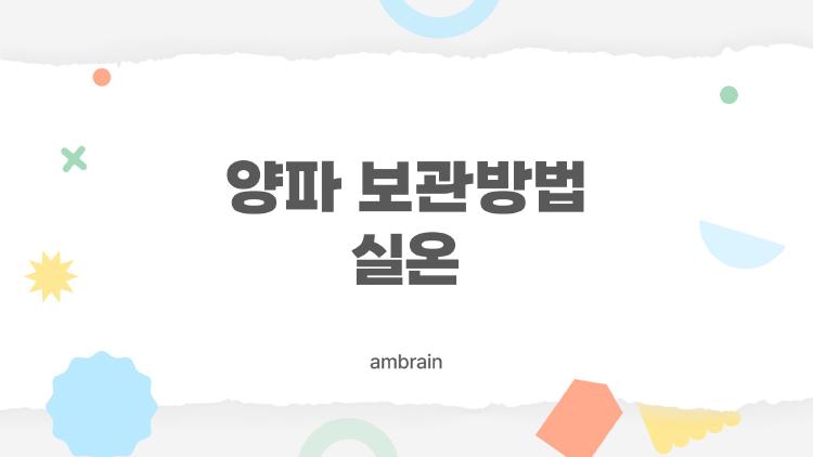 양파 보관방법 실온, 썩는다고? 내가 2개월 먹은 비밀