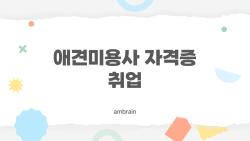 애견미용사 자격증 취업, 2026년에 왜 다들 난리냐