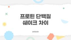 프로틴 단백질 쉐이크 차이, 도대체 뭐가 다르길래 사람들이 열광할까