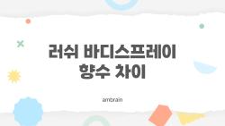 러쉬 바디스프레이 향수 차이, 지속력 진짜 차이날까?