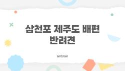 삼천포 제주도 배편 반려견, 대형견도 펫룸 OK? 진짜 후기 폭발