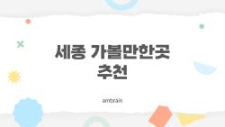 세종 가볼만한곳 추천, 2026 봄에만 볼 수 있는 숨겨진 벚꽃 명소 대공개