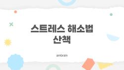 스트레스 해소법 산책, 20분 만에 코르티솔 확 잡는 비밀 루틴