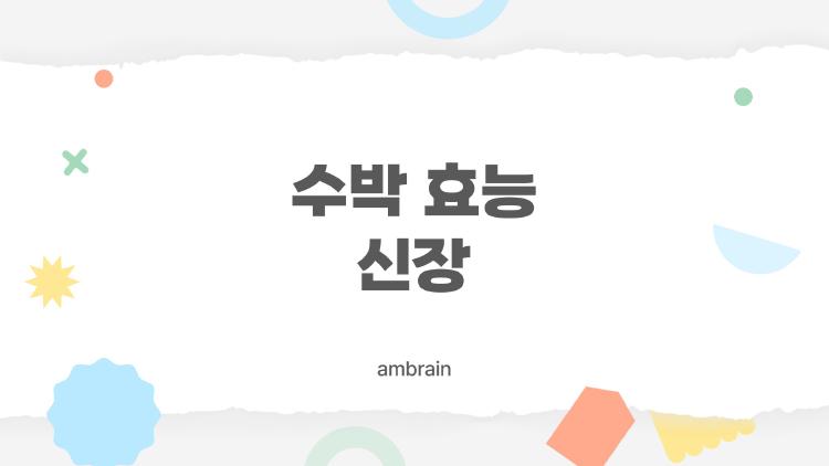 수박 효능 신장