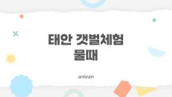 태안 갯벌체험 물때, 간조 전후 2시간만 알면 꿀팁 한 번에 정리