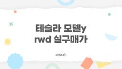 테슬라 모델y rwd 실구매가, 4천만원대에 탈 수 있다는 놀라운 비밀