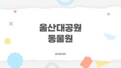 울산대공원 동물원 미니돼지 설명회, 아이들 난리난 이유