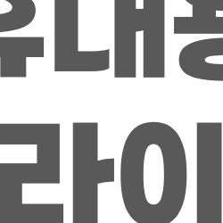 초경량 휴대용 유모차 트라이크, 3kg짜리 신상으로 여행 지옥 탈출?