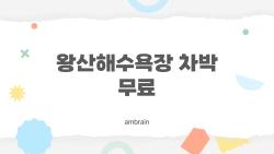 왕산해수욕장 차박 무료, 서울서 1시간 진짜 해변 명당 공개