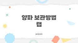 양파 보관방법 랩, 실온 냉장 중 뭘로 싸면 더 오래 갈까?