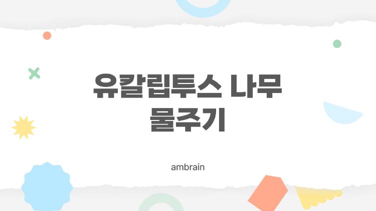 유칼립투스 나무 물주기