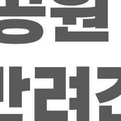 율동공원 카페 반려견, 실내 동반 OK인 곳들 진짜 다 모았어!
